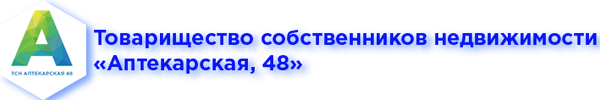 Логотип ТСН